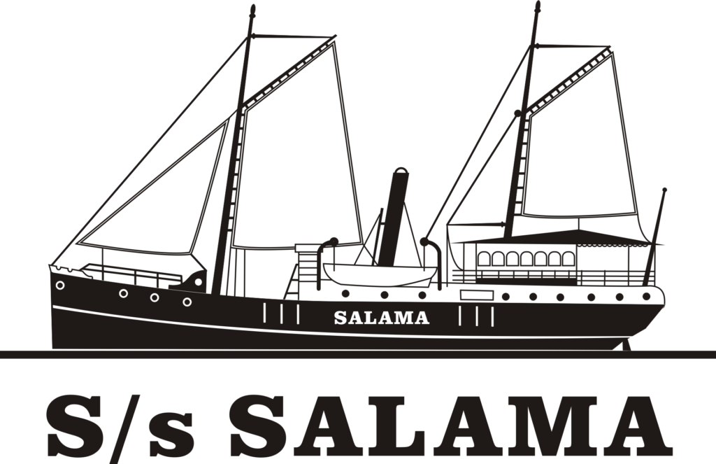 Mustavalkoinen piirroskuva Salama-laivasta.