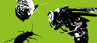 Vihreä tausta, jossa mustavalkopiirros kolmesta erikokoisesta hyönteisestä.