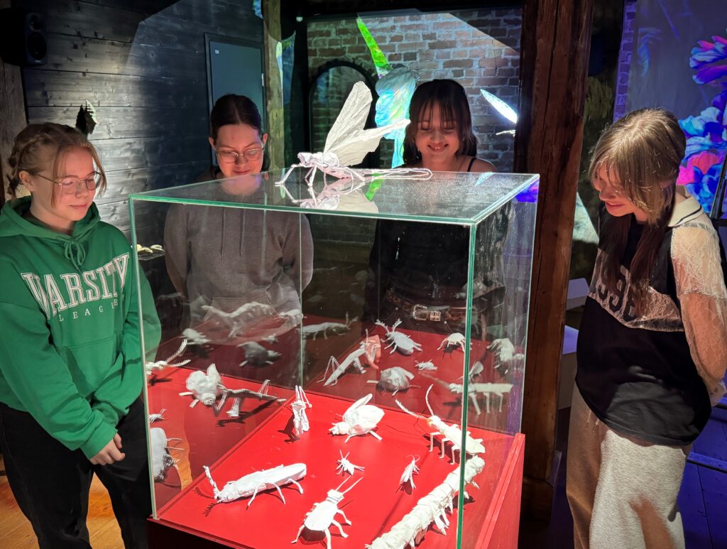 Kolme nuorta ihmistä seisoo lasivitriinin ympärillä. Vitriinin sisällä on valkoisesta paperista taiteltuja kolmiulotteisia hyönteisiä.