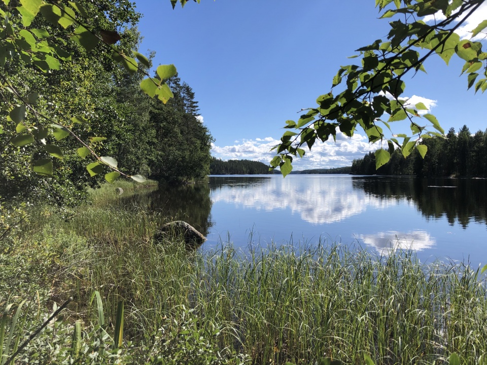 Petäjäsaari lomarakennuspaikka